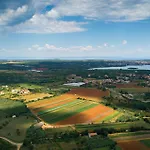 Milemanda Pula